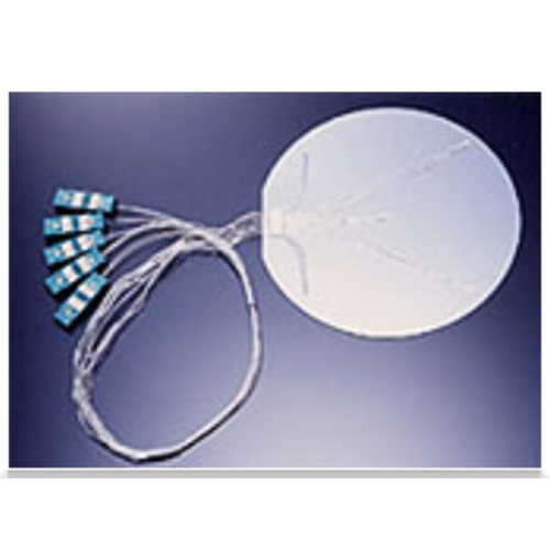 日本SAKAGUCHI坂口电热1200°C热电偶晶圆加热器T/C