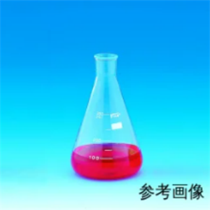 日本TGK东京硝子神崎进口泰斯顿型精细锥形瓶0000013002